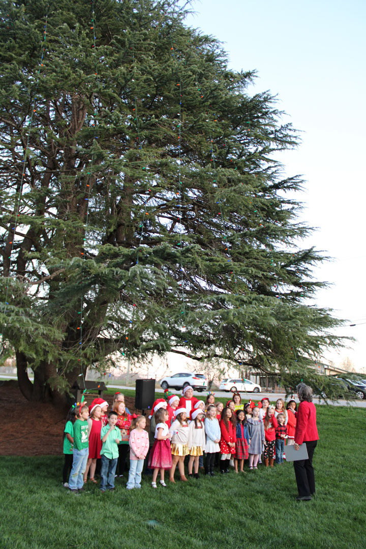 Liberty Primary School Choir (Photo by Karen Brewer, The Pickens County Chronicle)