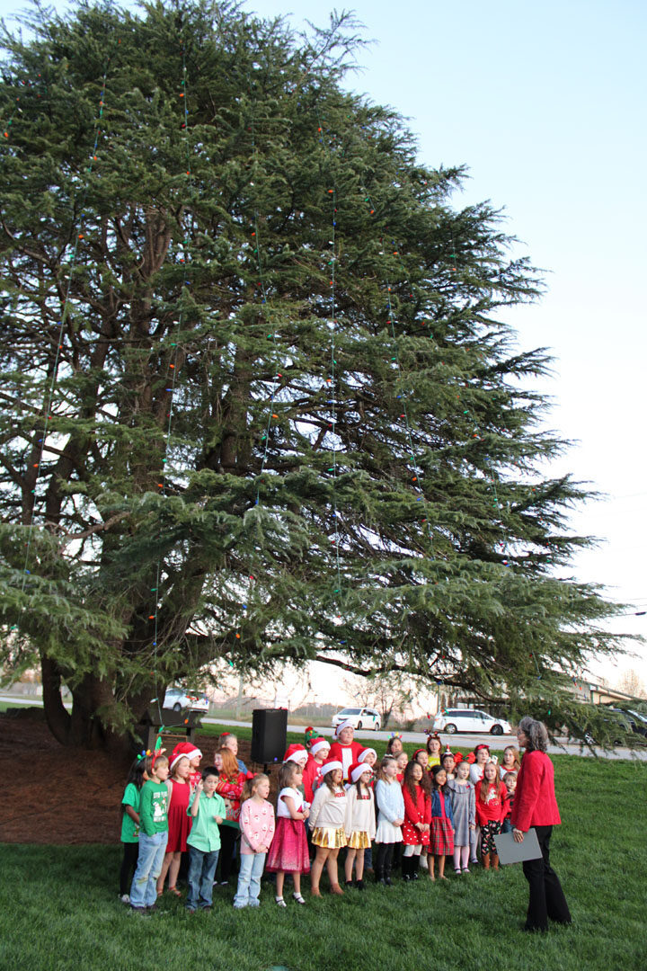 Liberty Primary School Choir (Photo by Karen Brewer, The Pickens County Chronicle)