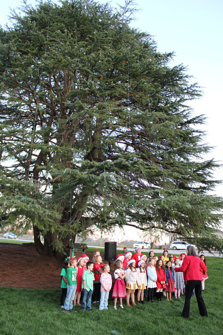 Liberty Primary School Choir (Photo by Karen Brewer, The Pickens County Chronicle)