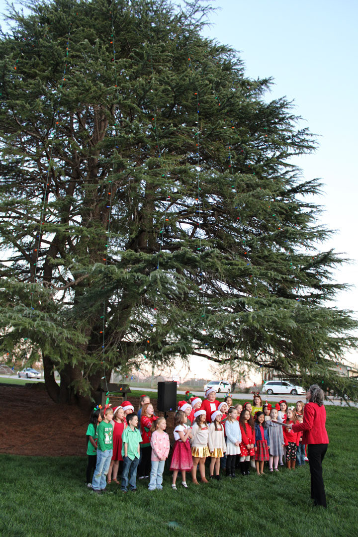 Liberty Primary School Choir (Photo by Karen Brewer, The Pickens County Chronicle)