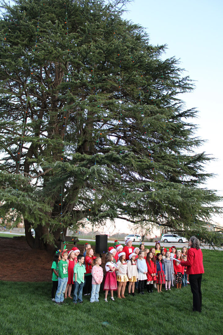 Liberty Primary School Choir (Photo by Karen Brewer, The Pickens County Chronicle)