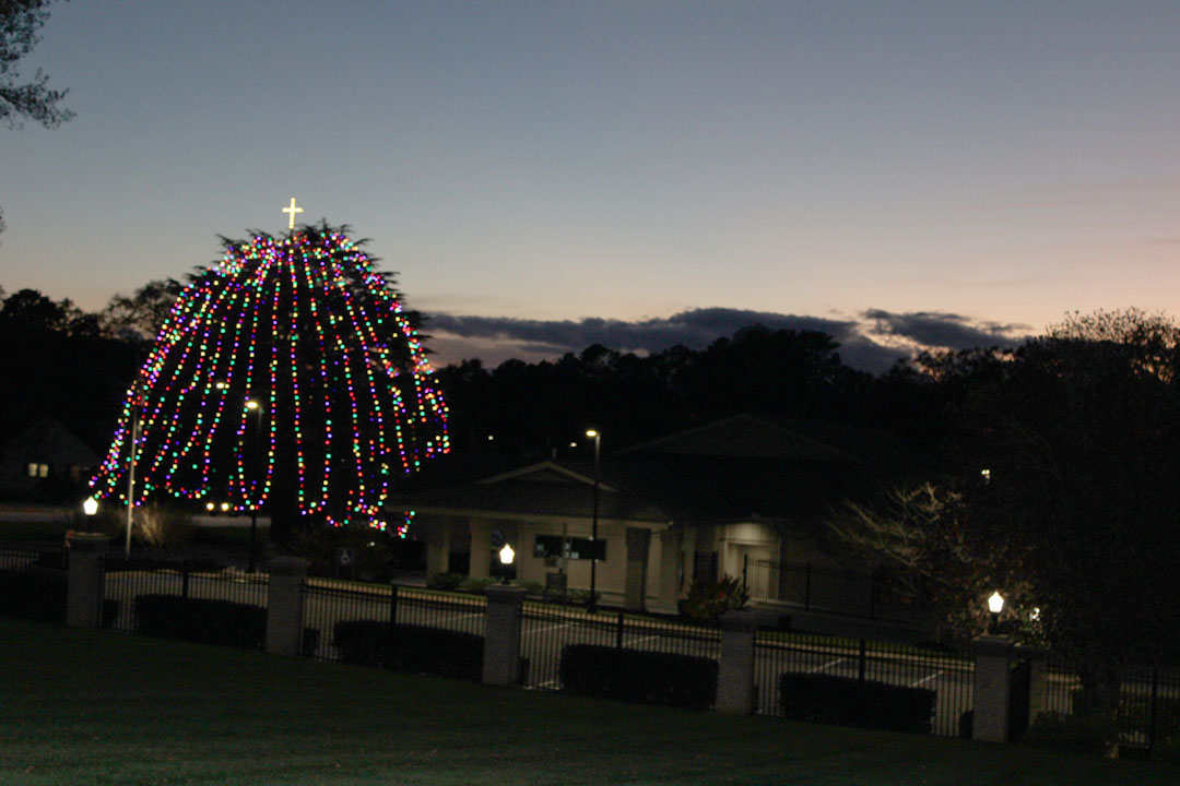 The Christmas tree at Blue Ridge Electric Cooperative following the tree-lighting ceremony on November 26, 2024 (Photo by Karen Brewer, The Pickens County Chronicle)