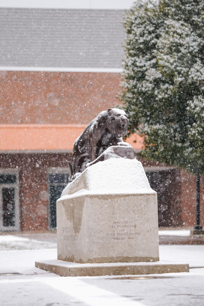 Clemson Athletics photo