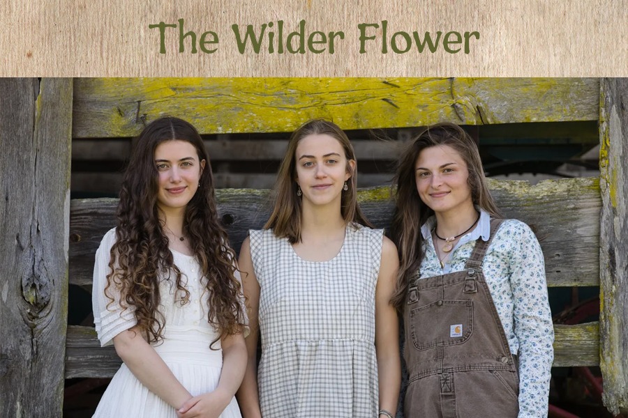 Winter Bluegrass Jubilee-The Wilder Flower