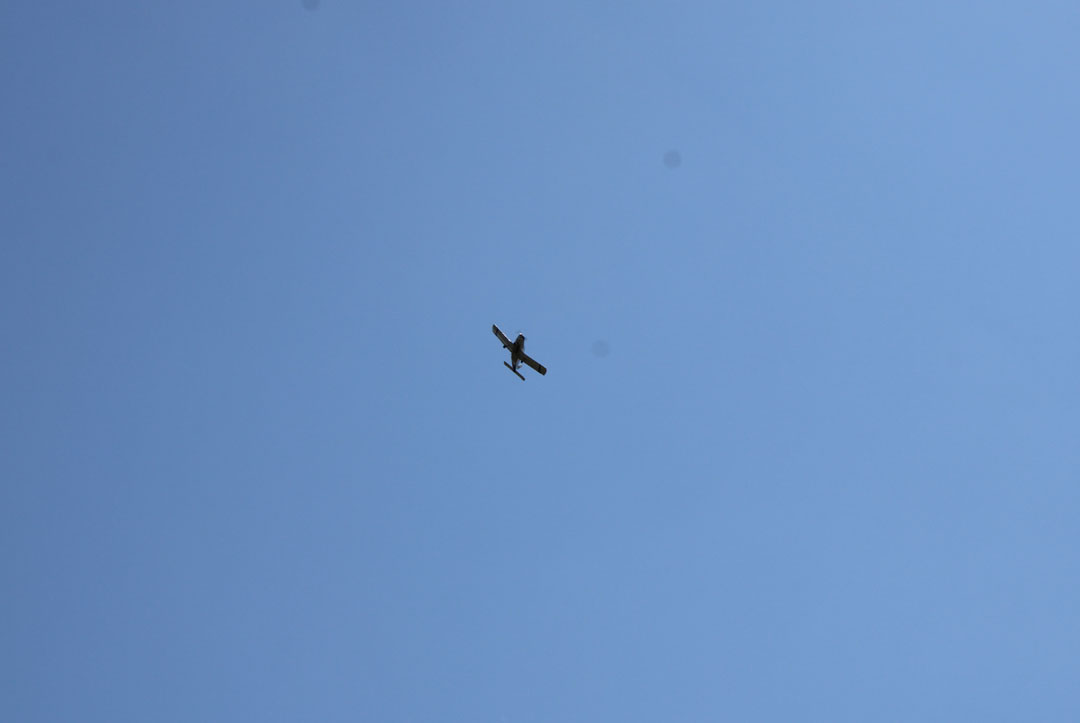 IMG_1664--b