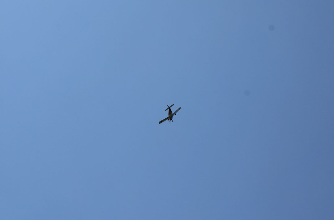 IMG_1665--b
