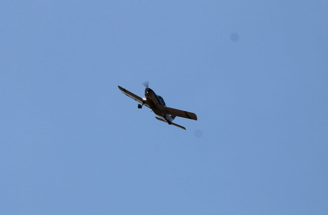 IMG_1667--b