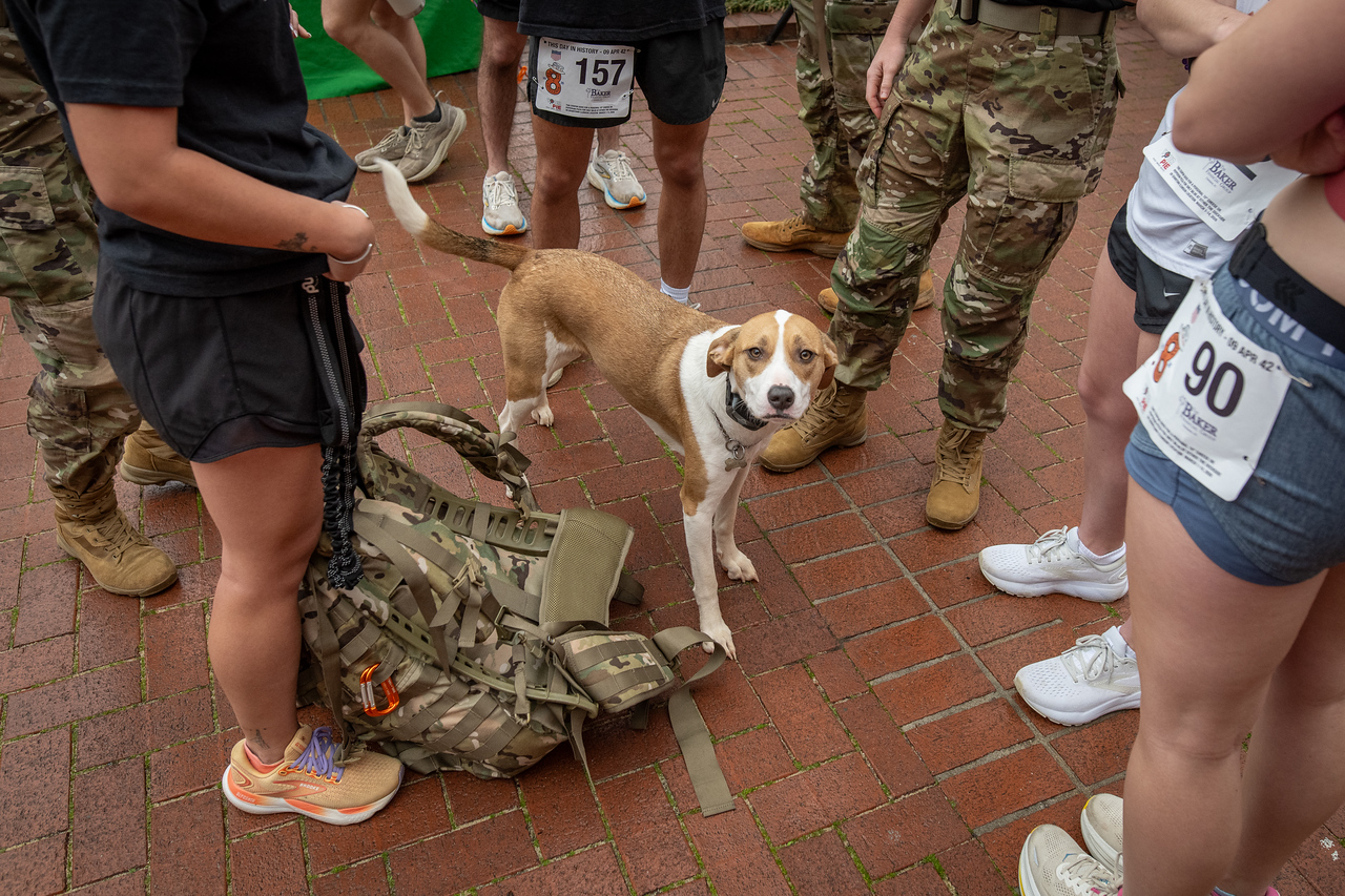 Hundreds of people participate in the 2026 Clemson 8 Challenge, an eight-mile run/walk/ruck march, on a misty Saturday morning, March 7, 2026. The Challenge was created to honor the 25 known Clemson alumni who suffered as POWs in all wars. It was originally created for 1938 Clemson alumnus, professor emeritus and WWII hero Ben Skardon, a survivor of the Bataan Death March, but has expanded to include Clemson POWs from all wars. Money raised from the event goes toward sending teams of Clemson ROTC students to participate in the Bataan Memorial Death March at White Sands Missile Range, NM. Sophomore finance major GB Stalnaker served as master of ceremonies. (Photo by Ken Scar)