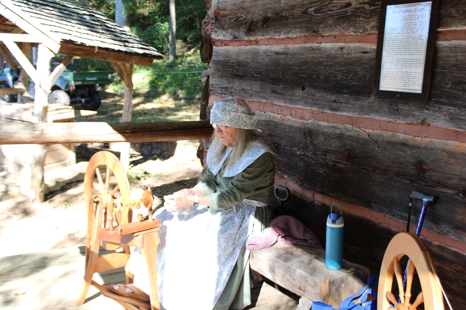 Peri Bush (Photo by Karen Brewer, The Pickens County Chronicle)