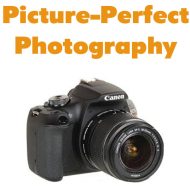Picture-Perfect Photography-6
