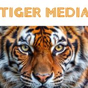 TIGER MEDIA LOGO